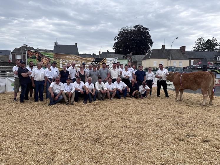 Une cinquantaine d'animaux de race Limousine issus de 17 élevages normands ont participé au concours régional à Torigny-les-Villes.