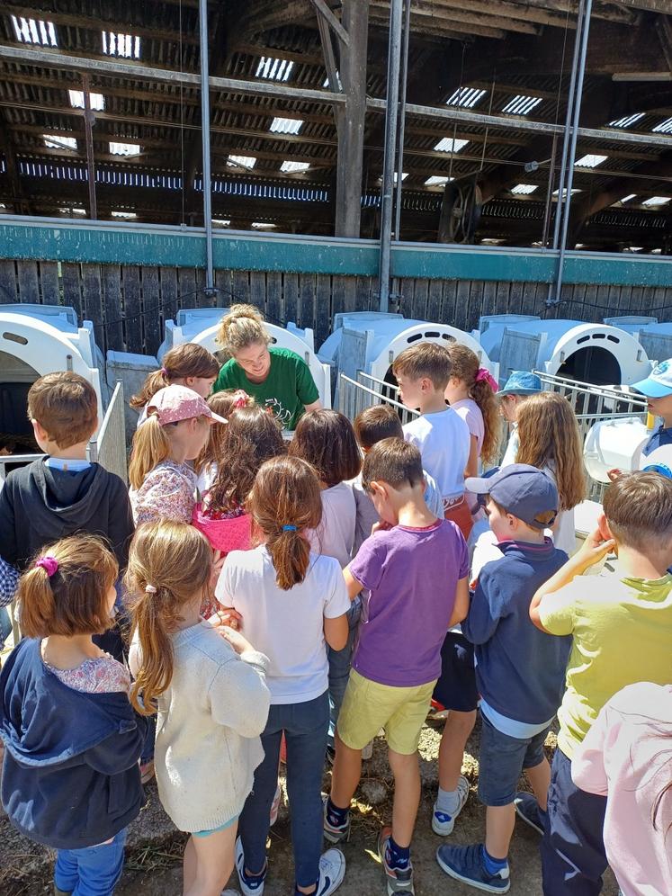 Au Gaec d'Yvetot, Carine Vrac à Couville a échangé avec les élèves de l'école Notre dame du Voeu de Cherbourg-en-Cotentin.