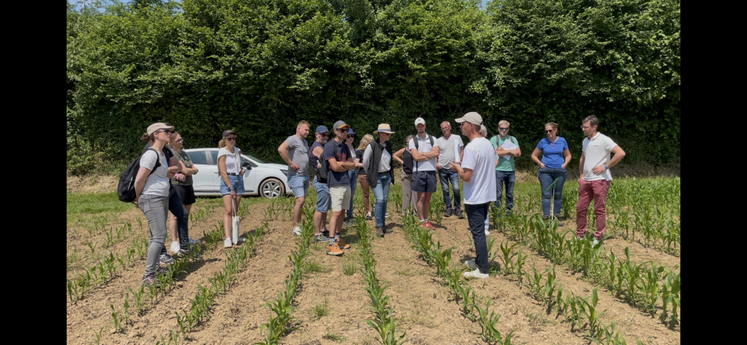 Pas moins d'une cinquantaine de personnes ont été accueillies par Gabriele Fortino, agronome et référent des essais Scuden.