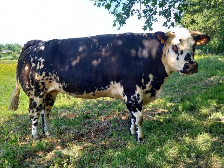 L'accueil sur la ferme de l'éleveur se fera à partir de 11 h et la restauration sur place sera possible sur réservation.