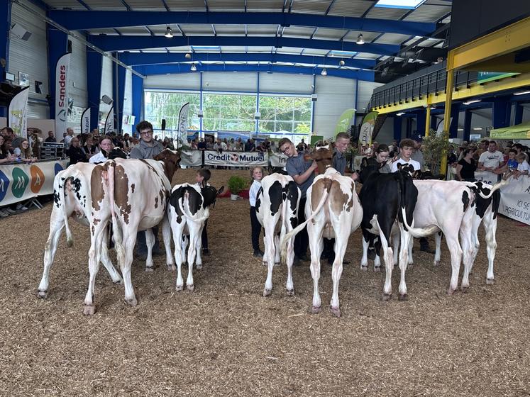 Les huit finalistes ont fait un dernier tour de ring avant que le juge dévoile les trois jeunes sélectionnés pour le concours National en octobre à Alençon.