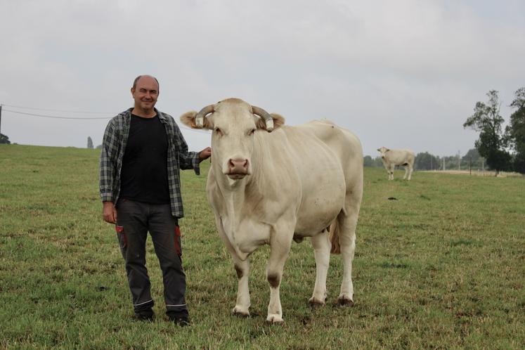 Johan Auffret est président de l'Aseban. Installé en 1998, il s'est passionné pour la race Blonde d'Aquitaine alors qu'il réalisait des concours de pointage jeune.