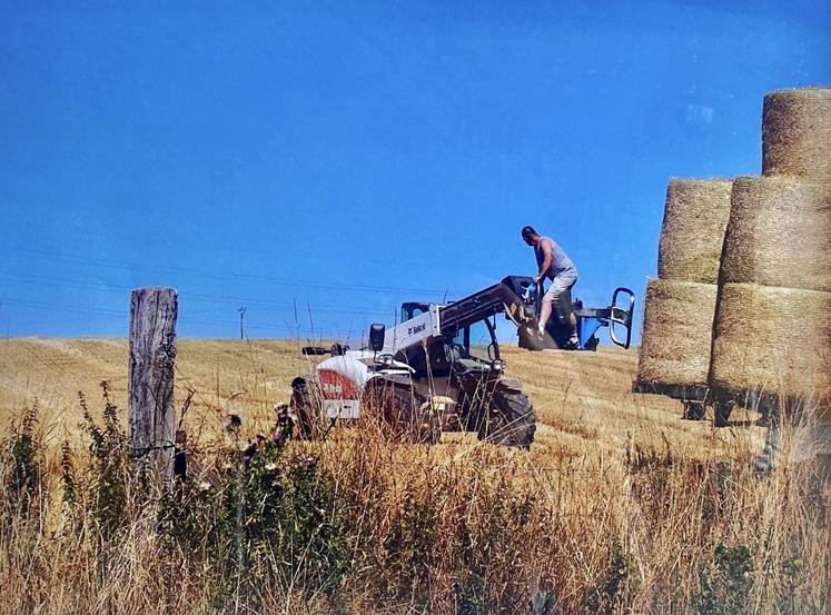 "La moisson", Le Perche, Orne, 2011