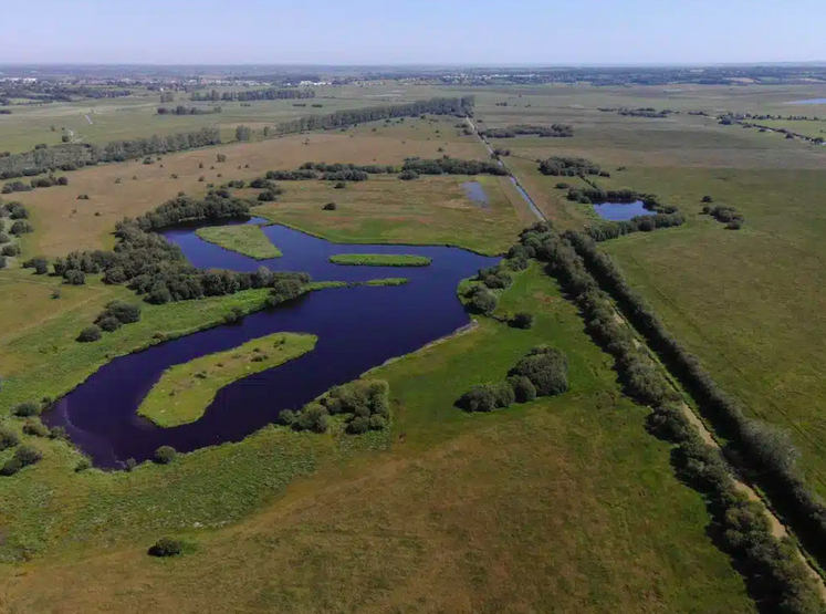 Créée en 1972, la réserve de chasse et de faune sauvage des Bohons s'étend sur 265 hectares de prairies humides et tourbeuses. Elle abrite plus de 5 000 oiseaux.