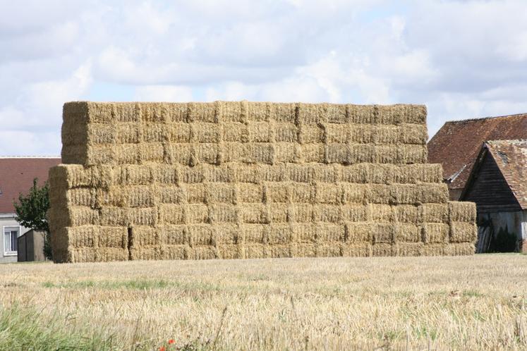 Le préfet et la Chambre d'agriculture du Calvados invitent les céréaliers à privilégier la valorisation de la paille - en favorisant sa récolte et son réemploi local - plutôt que son broyage.