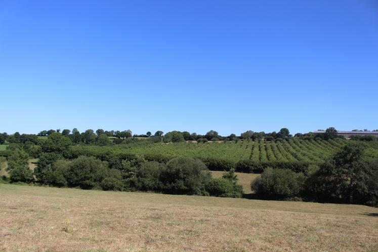 "Le paysage a heureusement changé depuis le remembrement. Je travaille à la plantation des haies depuis des années sur l'exploitation", précise Sylvain Aillard, père de Thomas, aujourd'hui co-gérant de l'exploitation avec Damien Philippe.