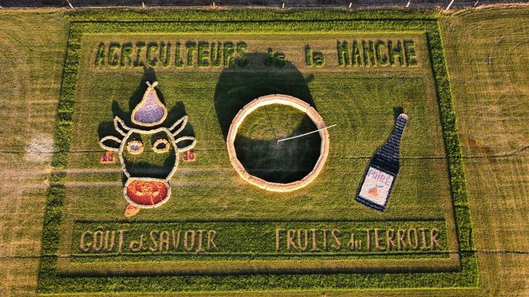 La fresque manchoise a mis en avant le poiré, l'élevage et le maraîchage. On peut lire "Gout et savoir, fruits du terroir".