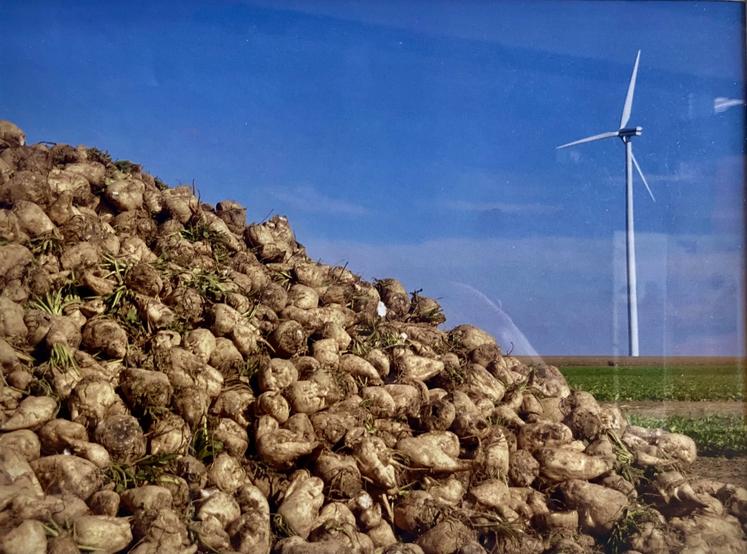 "Monticule de betteraves et éolienne", Le Perche, Orne, 2011