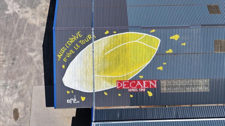 Oré, peintre urbain, a réalisé une fresque sur le toit des bâtiments des endives Decaen.