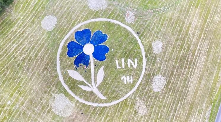 La fresque imaginée par Anne-Ingrid Le Granché, s'étend sur 35 mètres par 35 mètres.