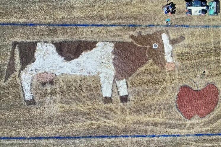 Une fresque a été réalisée en Suisse Normande afin de mettre en avant l'élevage bovin et la pomme à cidre et à couteau.