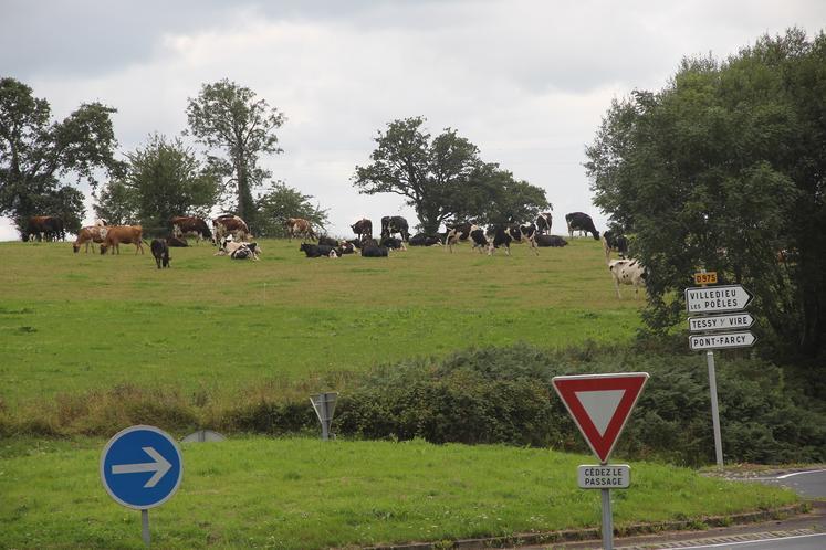 Le PLUI de Villedieu Intercom fait à nouveau réagir la Chambre d'agriculture de la Manche, qui dépose un recours contentieux auprès du Tribunal administratif de Caen.