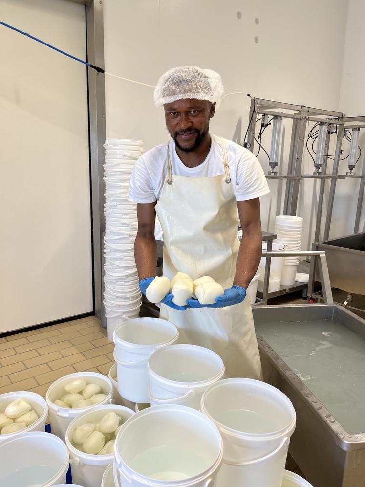 Quatre fromagers fabriquent la mozzarella dans les locaux de Pur Perche.