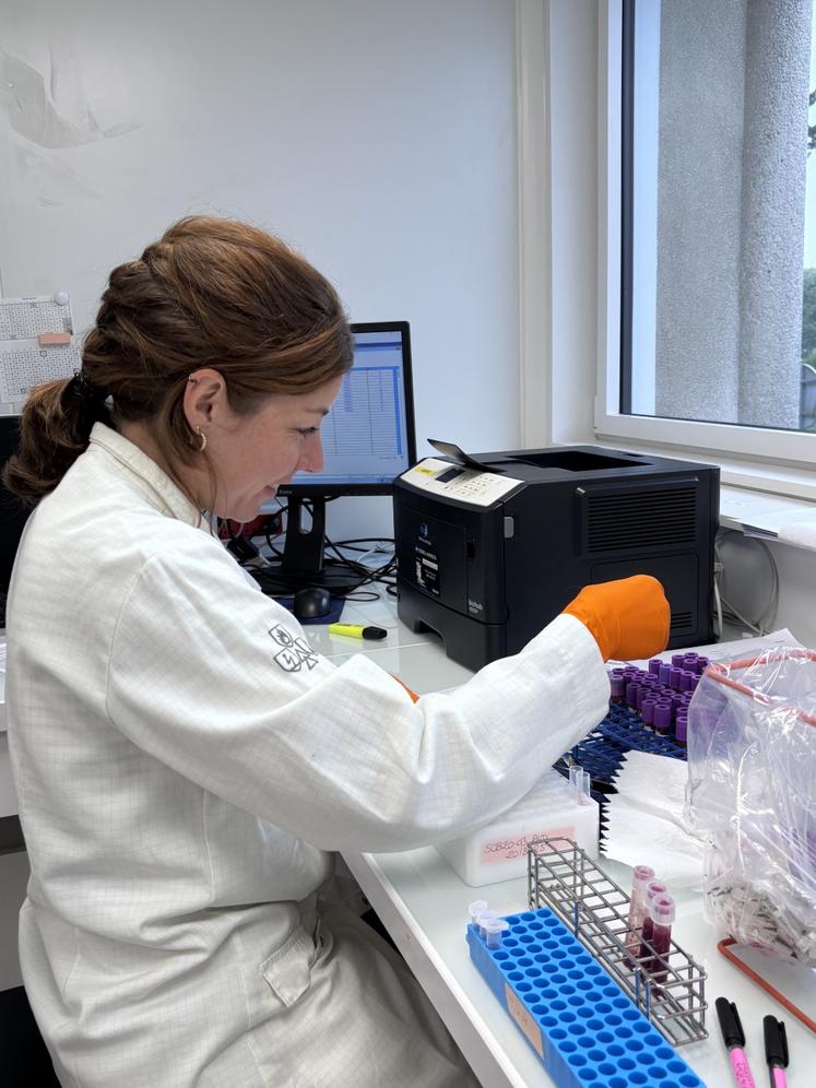 Le procédé est bien défini pour connaître le sérotype du virus.