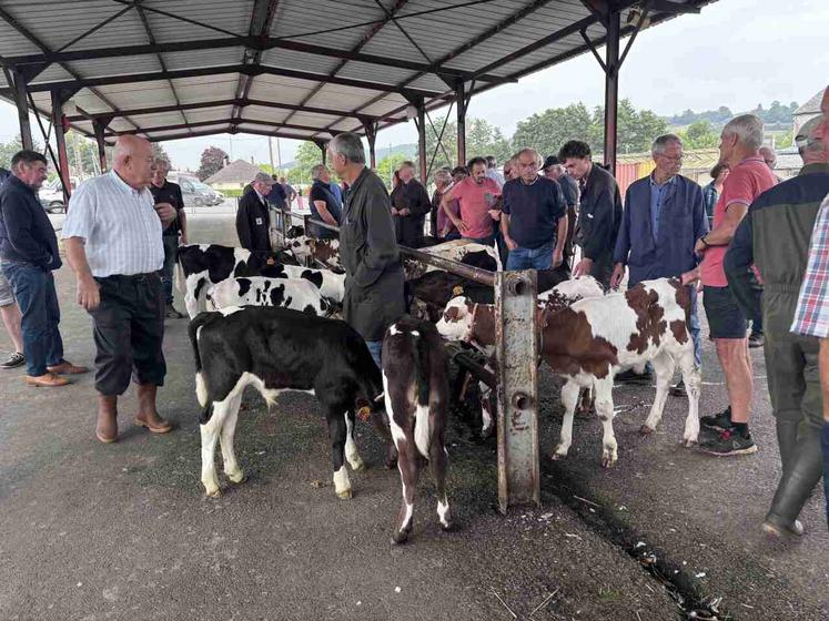 Le marché de Gavray-sur-Sienne a réouvert le 13 août dernier.