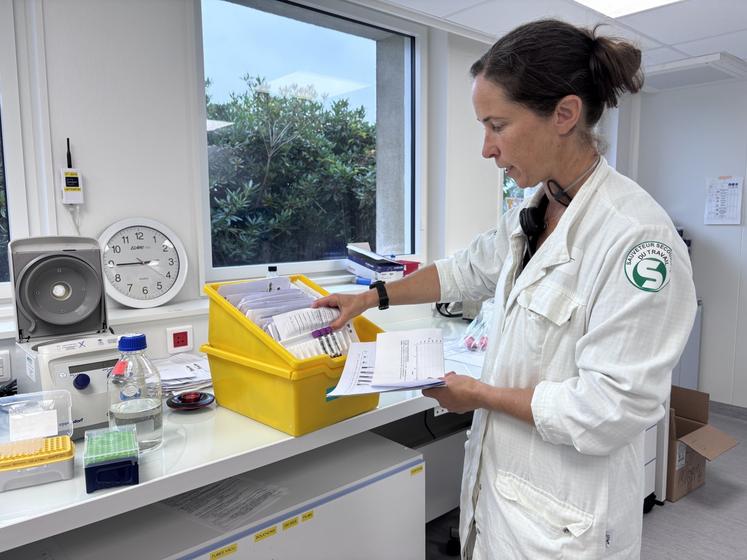 Les prises de sang arrivent au laboratoire de Saint-Lô afin d'être analysées par les équipes.