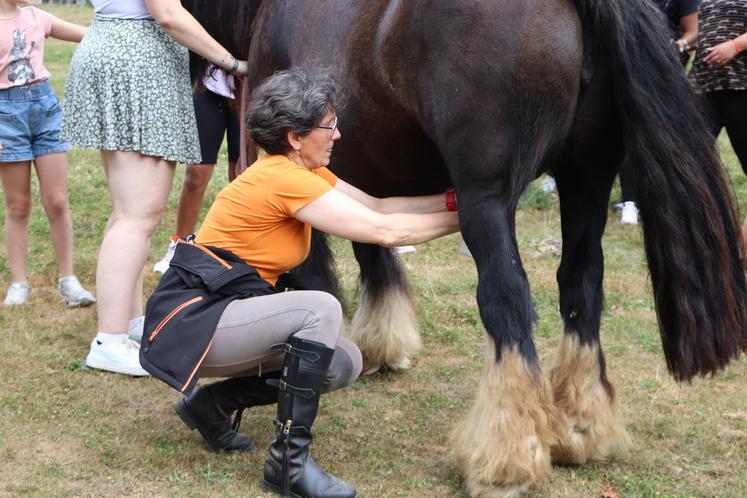 Laure Bousquet trait les juments à la main, en ne prenant que l'excédent de lait non consommé par les poulains (environ 1 l/j/jument).