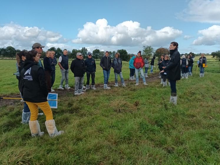 L'atelier 'organisation du travail' a été animé par Isaure de Thesy, animatrice de groupe - conseillère d'entreprise, à la Chambres d'agriculture de Normandie.