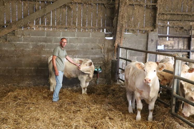 Emmanuel Leboucq participera pour la première fois à un concours bovins en se rendant au concours interrégional Charolais à la Foire de Caen. "Je ne m'attends pas à monter sur le podium, mais il faut bien débuter un jour", lance-t-il avec le sourire. On le retrouvera le 27 septembre sur le ring.