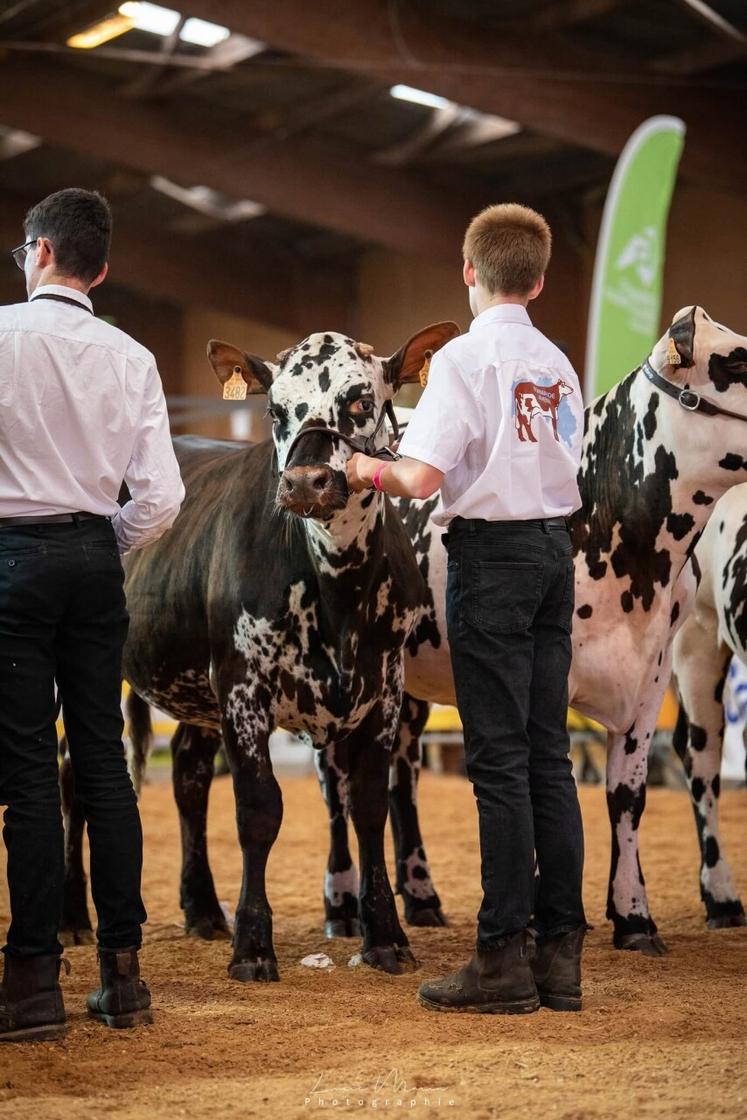 Les jeunes inscrits participeront au concours individuel et par équipe.