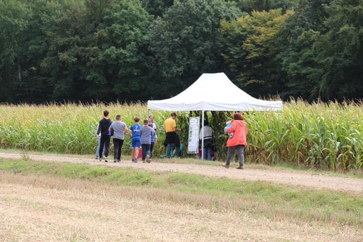 Un labyrinthe de maïs était accessible pour les visiteurs.