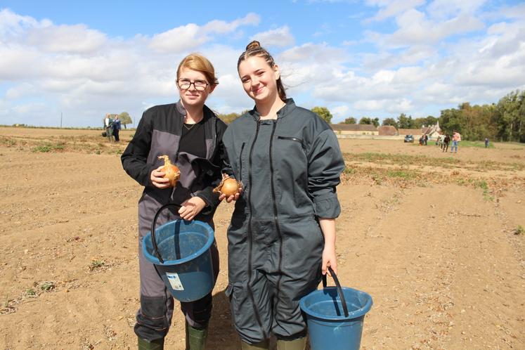 Laïla et Manon étaient à l'affût pour récolter un maximum d'oignons, de belle qualité, cultivés par Mathilde Vermès et son cousin.