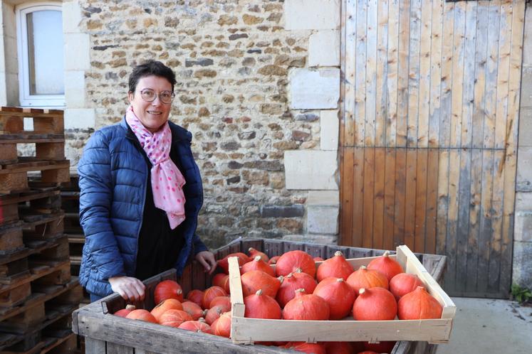 Le potimarron est ramassé de mi-septembre à fin octobre. Grâce à leurs saisonniers, tout est conditionné sur place.