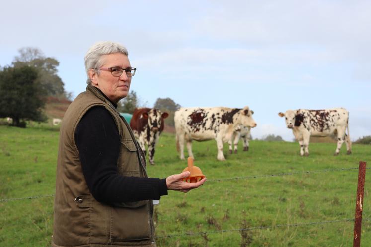 Dans le champ voisin de l'atelier, paissent quelques vaches normandes appartenant à Marie Legrain. "Évidemment des Normandes", sourit-elle. Un clin d'œil à ses racines agricoles et à la passion qui l'anime toujours autant.