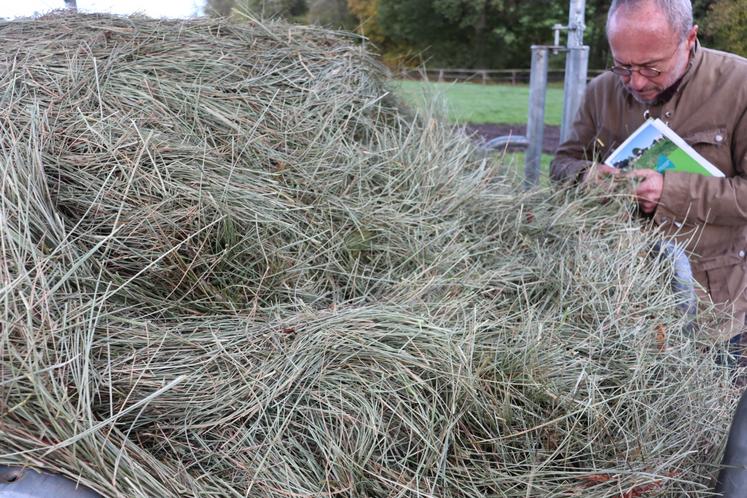 Pierre Julienne préfère le foin de fétuque pour ses fibres et sa capacité à sécher rapidement.