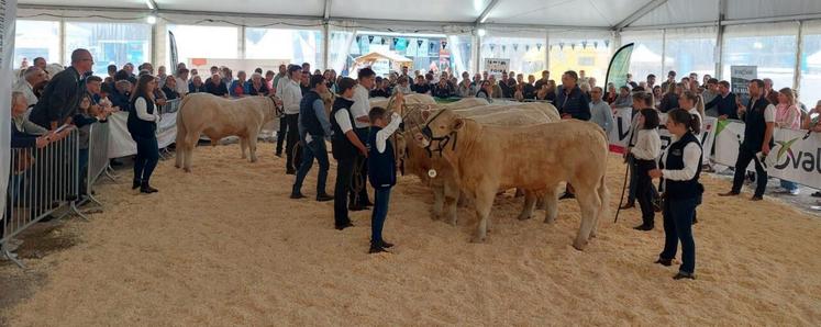 Les visiteurs sont venus nombreux le samedi et le dimanche pour assister au concours et à la remise des prix.