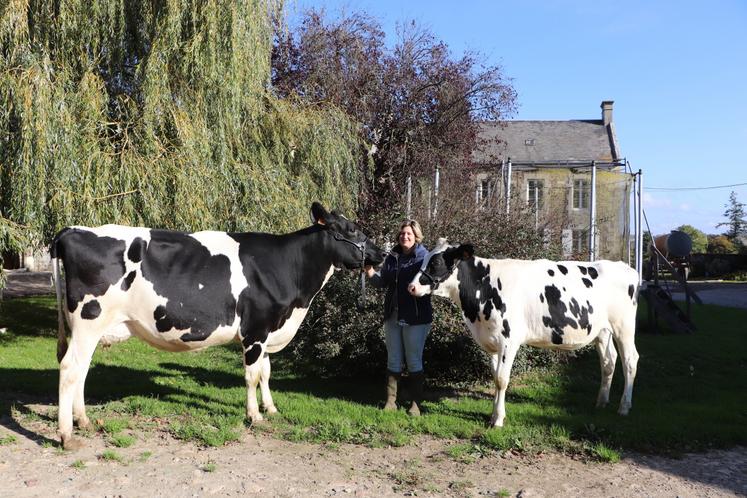 Le Gaec Lerouxel devait être présent au national Prim'Holstein les 24, 25 et 26 octobre prochains. Après une première participation au départemental de Vire en 2022 et au Salon international de l'agriculture 2025 en Jersiaise, Christine Lerouxel devait parader avec deux vaches et une génisse sur le ring d'Alençon. Ce n'est que partie remise.