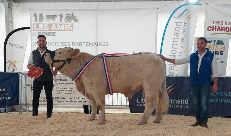 Étienne Marie, président de l'Ajec normande, et son jeune mâle, Vicomte, du Gaec Marie et fils, ont raflé le prix mâle d'automne lors du concours interdépartemental qui s'est déroulé pendant la Foire de Caen 2025.