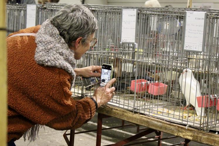 Cette année, 450 animaux de neuf départements seront présentés.