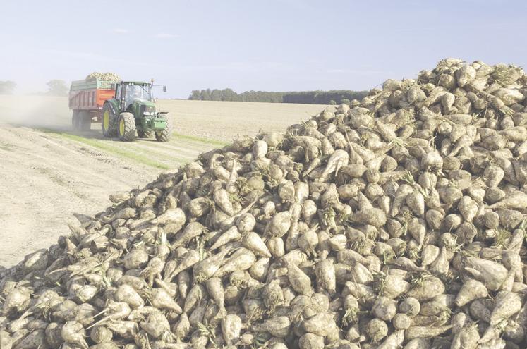 Suite à la fermeture précipitée de l'usine Saint-Louis Sucre en 2020, filiale du groupe industriel allemand Südzucker, basée à Cagny, 62 planteurs avaient déposé un recours en justice. Le verdict est enfin tombé après plusieurs années d'attente et il n'est pas en faveur des agriculteurs.