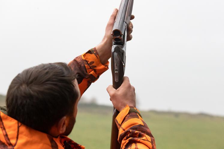 Chasse ouverture