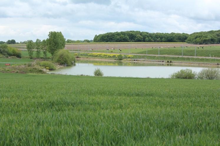 Le septième programme d'actions régional nitrates (PAR 7) a été décortiqué à l'occasion d'un contrôle pédagogique mardi 7 octobre au lycée agricole du Robillard.