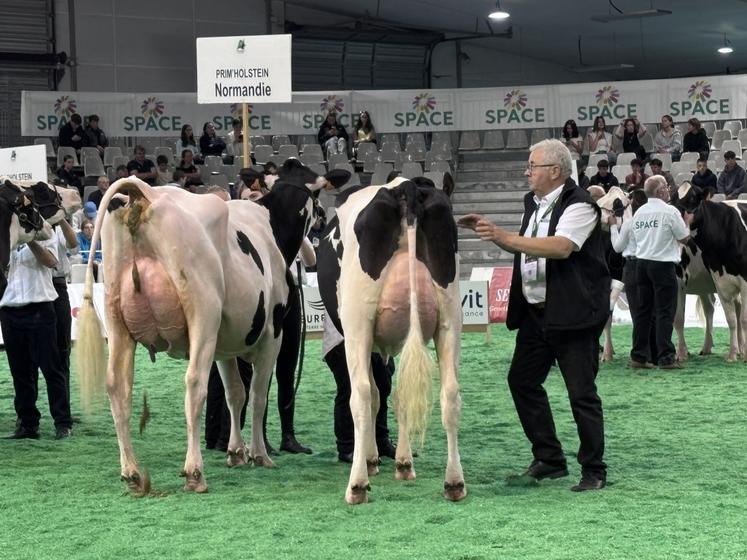 Les Prim'Holstein ne seront pas présentes à l'édition 2025 du Salon tous paysans, contraintes d'annuler leur concours national. La ministre de l'Agriculture ayant suspendu tous les rassemblements en raison du contexte sanitaire.