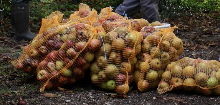 Les variétés acidulées sont prisées depuis quelques années.