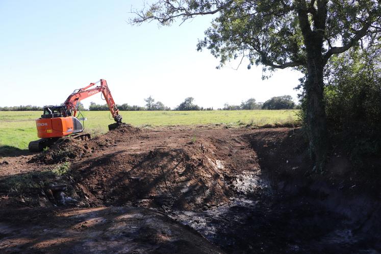 L'entreprise Ledentu, basée à Osmanville, est en charge de la mise en œuvre des travaux. "Dès l'année prochaine, les amphibiens et les insectes vont revenir et la vie va se réinsérer. On laisse faire la nature et tout se repeuple naturellement", indique Adélaïde Liot.