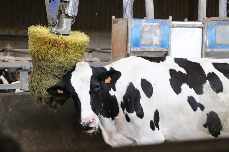 L'un des salariés de Samuel envisage de s'installer.