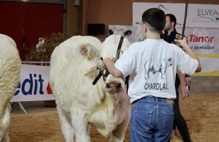 Des concours jeunes présentateurs seront organisés en laitières comme en allaitantes.