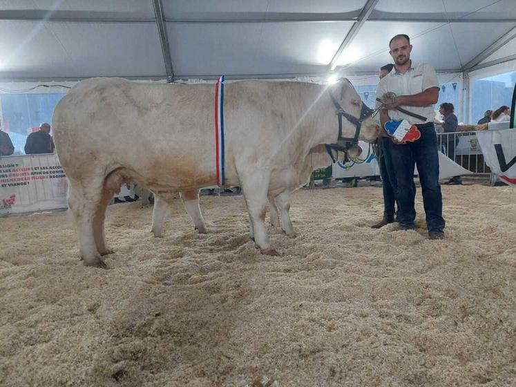 Rumba P du Gaec Maguet James a reçu le prix d'honneur femelle adulte.