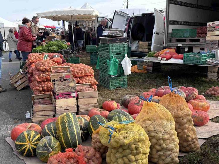 Des citrouilles, oignons, pommes de terre... étaient à la vente. La brouette, prête à acheminer les sacs au pied de la voiture des acheteurs.