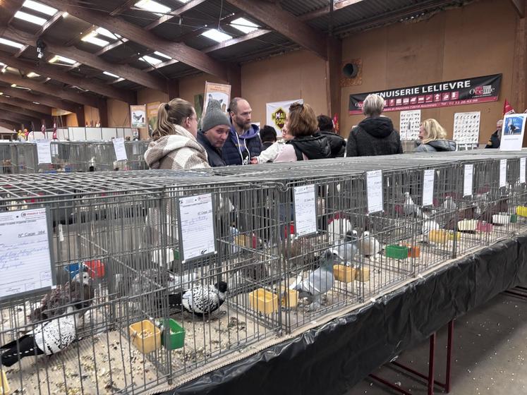Volailles, lapins, canards... ont fait la joie des enfants comme des parents. Ils ont été un élément de réussite de cette édition particulière.