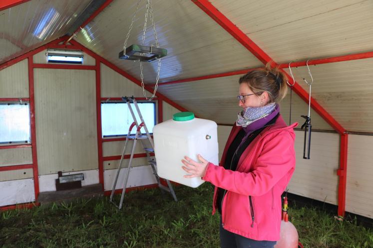 Elle projette d'élever des poulets XL 431, "d'environ 3 kg en moyenne, plutôt à destination des familles", mais aussi de la variété Cou nu noir, "des poulets plus petits, appréciés par les restaurateurs".
