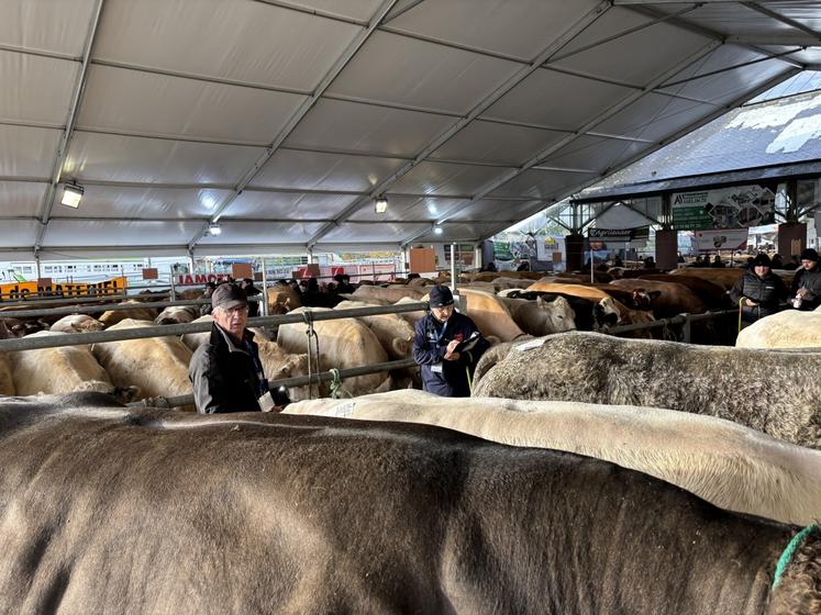 Laurent Binet, président fondateur du Festival de la viande à Torigny, reste le pilier de cette édition 2025. Il s'appuie sur une équipe de 130 bénévoles.