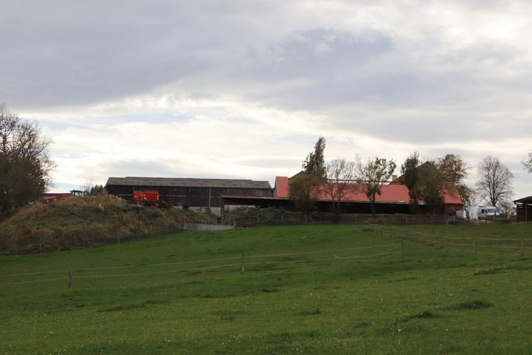 La toiture du bâtiment d'élevage a été refaite intégralement.