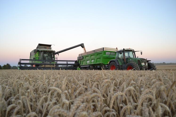 "Où va notre blé ? Au premier, au second, comme au troisième degré", interroge Jean-Yves Heurtin, président
de la Chambre d'agriculture du Calvados lors de la dernière session, vendredi 14 novembre.