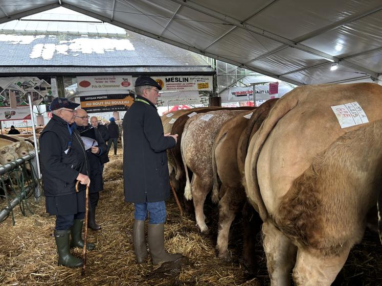 Les animaux seront répertoriés en 38 sections. Les jurés départageront le meilleur bœuf, la meilleure génisse, la meilleure vache, le meilleur animal normand, et le meilleur animal Blanc Bleu et croisé Blanc Bleu.
