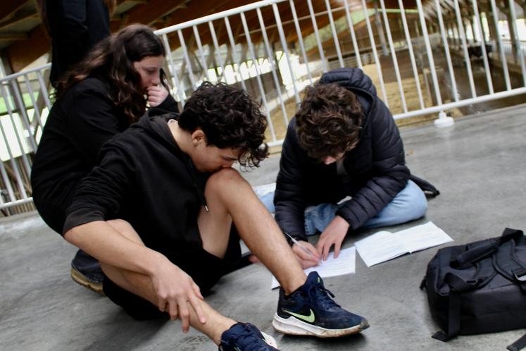 Concentration, méthode et réflexion étaient les maîtres mots de l'escape game agricole.